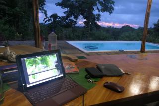 Lodge jaguarjundi - Zancudo - 6
