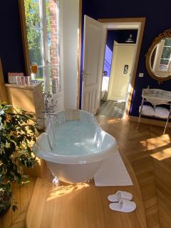 Le Château d'Elbeuf-en-Bray -  - 3