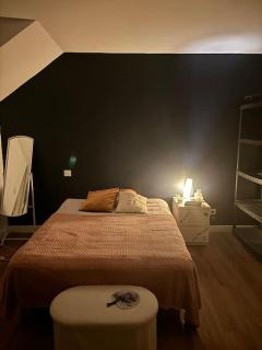Friendly House - 8 personnes - Bonneuil-Matours - 4