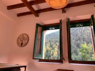 Apartament al bosc i bones vistes - Ribes de Freser - 3