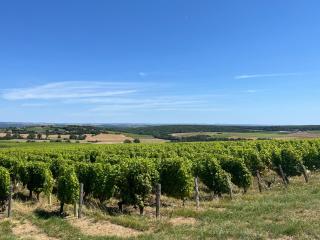 Auberge Sainte-Gemme - - 6