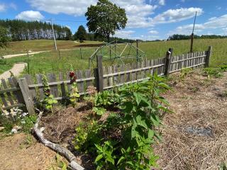 Siedlisko Białe Błota - 4