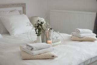 Aparthotel "Queen Zina" - Vlasic - 4