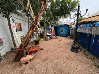 Villa Andalusia Dahab green - 5