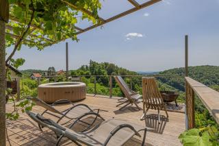 Vineyard Cottage Sunny Hill - Happy Rentals - Mirna - 9