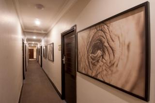 The Graham Hotel - 5