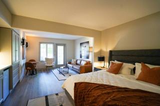 Luxurious Studio with King Bed with Pullout - Shanty Bay - 2