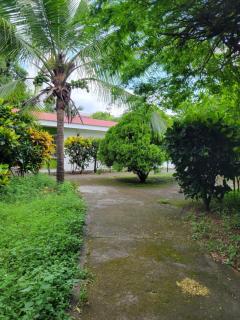 Hotel Museo El Ceibo - 1