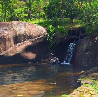 Vale das Quaresmeiras - Divisa - 8