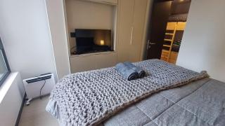 HOM I Acogedor y Luminoso Depto 4PAX en Puerto Varas - Puerto Varas - 3