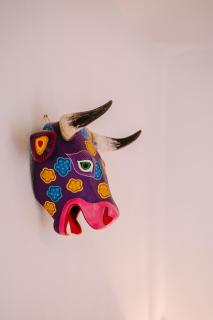 La Casa Carlota - Città di Oaxaca - 2