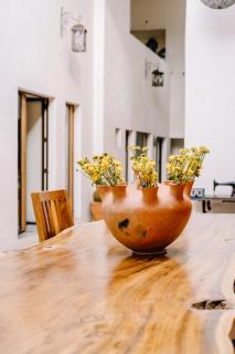 La Casa Carlota - Città di Oaxaca - 7