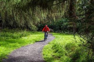 The Fantail Couples Retreat - Kinloch - 9