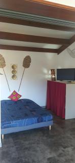 Studio GECKO chez Fanny et Alain - Saint-Pierre - 8