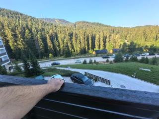Тайната квартира - The Secret apartment - Pamporovo - 9