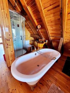The Quaint Log House Die Houthuis - St Helena Bay - 7