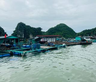 Like hostel - Hai Phong - 1