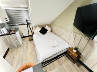 Luxury Central London flats, best location for tourists - Londra - 2