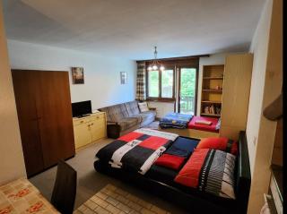 Gemmi apartment Inden Leukerbad - Inden - 4