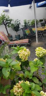 Hotel Adriana - Aschaffenburg - 9