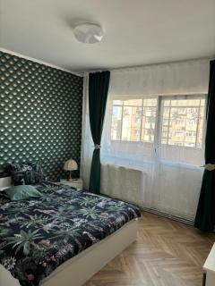 Beauty Apartament - Cluj-Napoca - 0