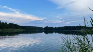 Ferienhaus Weisdin - - 2