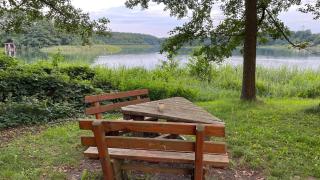 Ferienhaus Weisdin - - 3