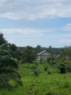 Green Tree Cottage5 - Klong Muang Beach - 0