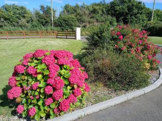 Ollie's studio den - Wexford - 2
