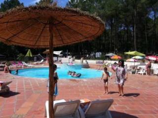 Mobilhome 3 étoiles - Piscine - eehcid - Bollène - 6