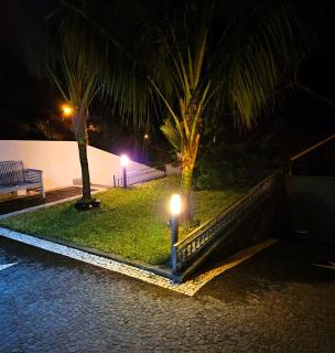 Casa da Palmeira - Machico - 3