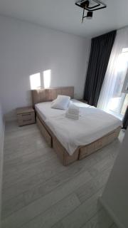 Luxury Ambiance - Voluntari - 9