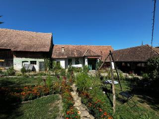 Saschiz 175 GuestHouse - Saschiz - 8