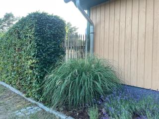 Ferienhaus am Plauer See - 4