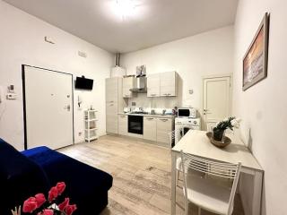 Comfortable house in centro storico - Firenze - 0