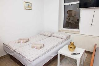 Charm apartment-Top location-City Center - Sarajevo - 6