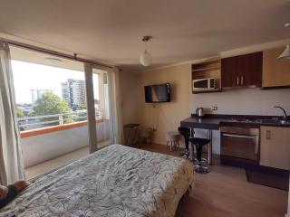 Departamento Estudio Carrera - Temuco - 7