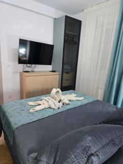 Bulevar lux Čačak - 2