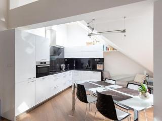 Luxusní apartmán s terasou a garáží - Prague - 1