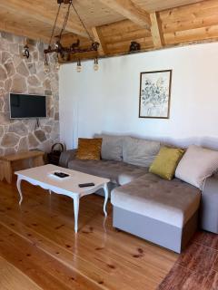 Apartman Djina Zabljak - Žabljak - 8