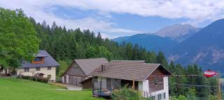Haus Tonelehof - Dellach im Drautal - 5