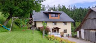 Haus Tonelehof - Dellach im Drautal - 0
