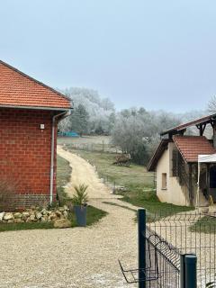 Le Domaine du Lavoir en privatisation - Villemoiron-en-Othe - 3