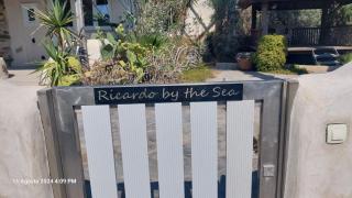 Ricardo by the sea - Parikia - 6