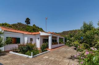 La Casita de Don Enrique - Vega de San Mateo - 0