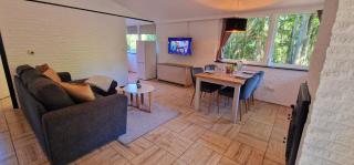 Eifel Residence 3 - Gerolstein - 4