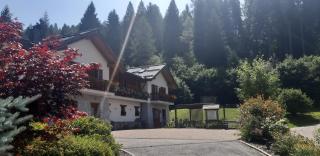 Albergo Chalet Abete Rosso - Castello Tesino - 9