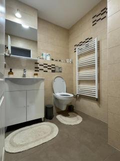 LaReina Apartament - Cluj-Napoca - 2