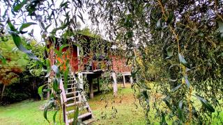Cabaña TIEMPO - Tigre - 9