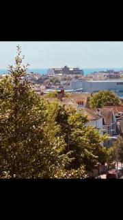 Lush Green View With Horizon Sea View & Balcony - 4